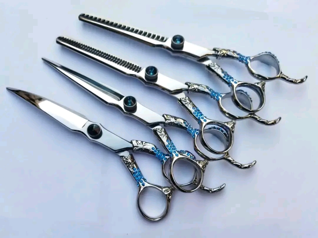 Pro Dragon Blue Stones 4 Pet Grooming Shears Set